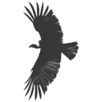 AI generated Silhouette vulture bird animal fly black color only png