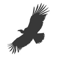 AI generated Silhouette vulture bird animal fly black color only png