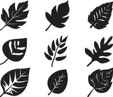 Black Leaf set of vector isolated from the background. Leaf icon different shape in modern flat style