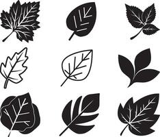 Black Leaf set of vector isolated from the background. Leaf icon different shape in modern flat style