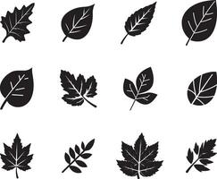 Black Leaf set of vector isolated from the background. Leaf icon different shape in modern flat style