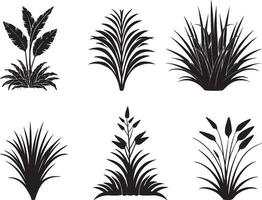 Set of Tropical Plant And Grass In Silhouette Vector. on isolated white background vector