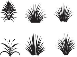 Set of Tropical Plant And Grass In Silhouette Vector. on isolated white background vector