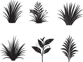 Set of Tropical Plant And Grass In Silhouette Vector. on isolated white background vector