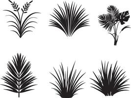conjunto de tropical planta y césped en silueta vector. en aislado blanco antecedentes vector
