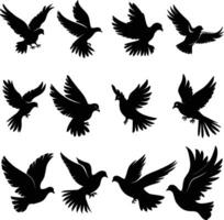 Flying dove silhouettes isolated. pigeons set love and peace symbols vector