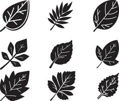 Black Leaf set of vector isolated from the background. Leaf icon different shape in modern flat style