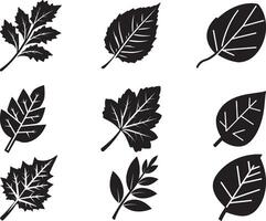 Black Leaf set of vector isolated from the background. Leaf icon different shape in modern flat style