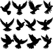 Flying dove silhouettes isolated. pigeons set love and peace symbols vector