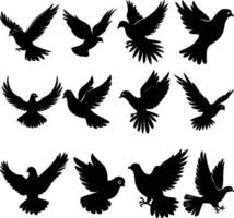 Flying dove silhouettes isolated. pigeons set love and peace symbols vector