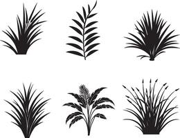 Set of Tropical Plant And Grass In Silhouette Vector. on isolated white background vector