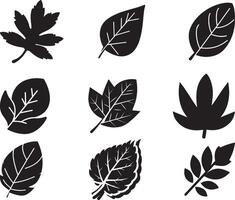 Black Leaf set of vector isolated from the background. Leaf icon different shape in modern flat style