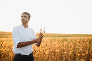 Agronomist inspects soybean crop in agricultural field - Agro concept - farmer in soybean plantation on farm. photo