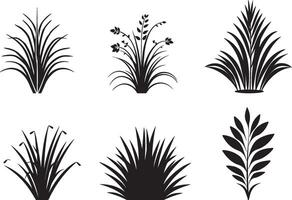 Set of Tropical Plant And Grass In Silhouette Vector. on isolated white background vector