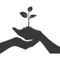 AI generated Silhouette Two Hand holding soil with growing sprout black color only png