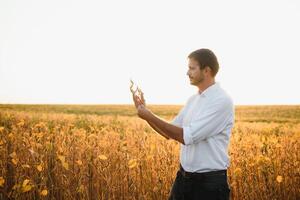 granjero agrónomo en haba de soja campo comprobación cultivos antes de cosecha. orgánico comida producción y cultivo. foto