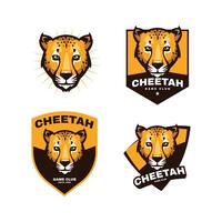 cheetah sport logo template vector