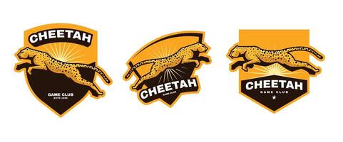cheetah sport logo template vector