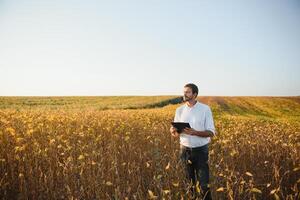 agrónomo inspecciona haba de soja cosecha en agrícola campo - agro concepto - granjero en haba de soja plantación en granja. foto