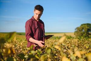 Farmer in soybean field plantation photo