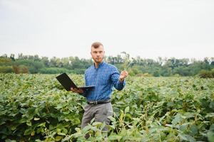 agrónomo inspeccionando soja frijol cultivos creciente en el granja campo. agricultura producción concepto. joven agrónomo examina haba de soja cosecha en campo en verano. granjero en haba de soja campo foto