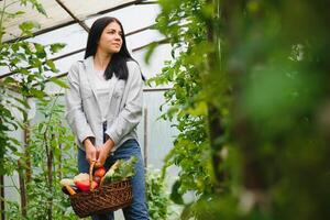 Woman farmer standing in greenhouse. Happy worker growing vegetables working in hothouse. Agriculture photo