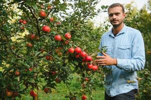 Choosing the best apples. Happy young man farmer stretching out hand to ripe apple and smiling while standing in the garden photo