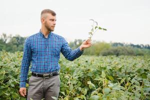 Young farmer in soybean fields photo