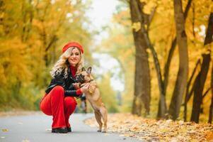 un elegante joven niña con largo ligero pelo en soleado lentes va para un caminar con un pequeño medio perrito un doguillo por el francés buldog en un parque en primavera en otoño foto