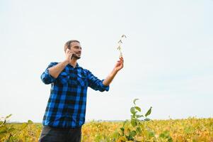 Agronomist inspecting soya bean crops growing in the farm field. Agriculture production concept. young agronomist examines soybean crop on field in summer. Farmer on soybean field photo