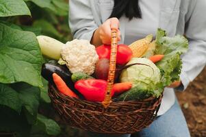 Fresh autumn vegetables in a greenhouse photo