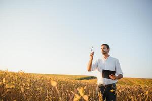 agrónomo inspeccionando soja frijol cultivos creciente en el granja campo. agricultura producción concepto. joven agrónomo examina haba de soja cosecha en campo en verano. granjero en haba de soja campo foto