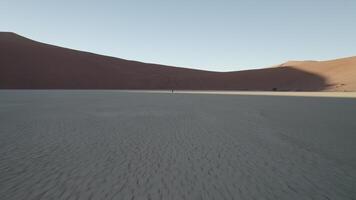 een droog omhoog meer in dood vallei in Namibië, sossusvlei video