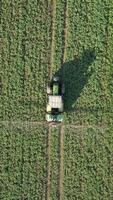 Tractor Sprays The Field Top View video