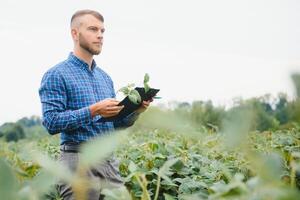 granjero agrónomo en un creciente verde haba de soja campo. agrícola industria. foto