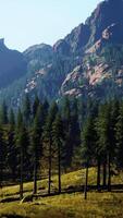 Landscape view of the mountain range with trees in the fall video