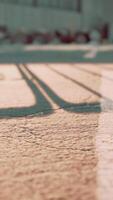 Empty beach car park spaces covered in asphalt. video