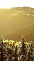 vallée de montagne avec forêt de pins contre les crêtes lointaines video