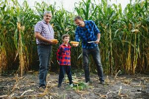 Portrait of the old farmer man in his field full of harvest together with his son and grandson. Family farming. photo