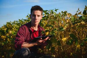 agrónomo inspeccionando soja frijol cultivos creciente en el granja campo. agricultura producción concepto. joven agrónomo examina haba de soja cosecha en campo en verano. granjero en haba de soja campo foto