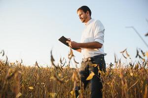 Agronomist inspects soybean crop in agricultural field - Agro concept - farmer in soybean plantation on farm. photo