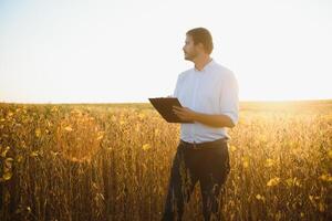 joven agricultor en campos de soja foto