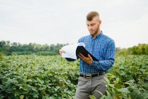 granjero o agrónomo examinando verde haba de soja planta en campo foto