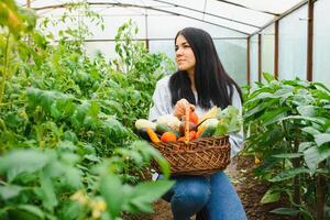 Young farmer woman holding fresh organic vegetable with basket at greenhouse hydroponic organic farm. Owner small business entrepreneur organic vegetable farm and healthy food concept photo