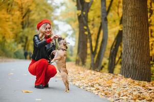 People and dogs outdoors. Beautiful and happy woman enjoying in autumn park walking with her adorable French bulldog. photo