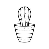 Beautiful linear cactus in a pot. House plant in doodle style. Simple clipart vector