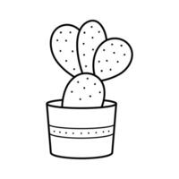 Beautiful linear cactus in a pot. House plant in doodle style. Simple clipart vector