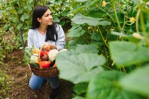 Young woman in takes care of Fresh vegetable Organic in wood style basket prepare serving harvest by a cute pretty girl in hydroponic farm, greenhouse photo