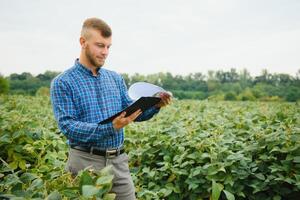 granjero o agrónomo examinando verde haba de soja planta en campo foto