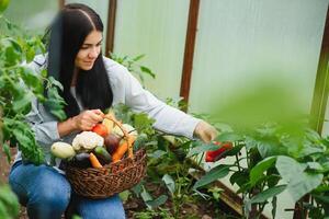 Young farmer woman holding fresh organic vegetable with basket at greenhouse hydroponic organic farm. Owner small business entrepreneur organic vegetable farm and healthy food concept photo